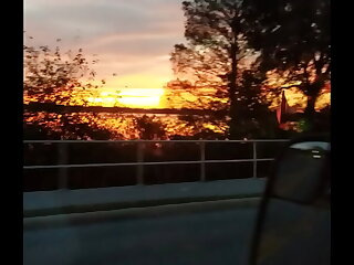 Lovely